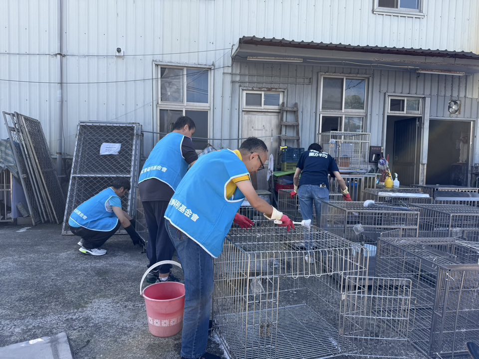 青年志工隊出發！打掃流浪狗狗的家